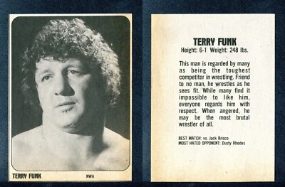 Terry Funk 1981 Wrestling Superstars corte a mano Foto 1 de 2