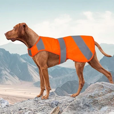 Chaleco Naranja para Perros Seguridad de Alta Visibilidad, Chaleco de Caza para Perros, Chaqueta para Perros Ajuste Suave Foto 1 de 4