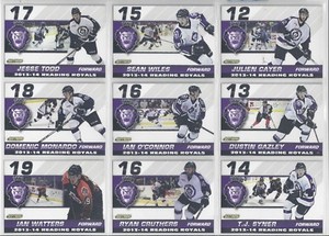 2013-14 Reading Royals (ECHL) Jesse Todd
