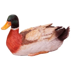Dekofigur Ente sitzend Polyresin 18x15 cm Tierfigur Figur Zierfigur Haus Garten - Bild 1 von 2