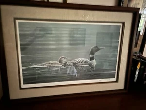 Robert Bateman Muskoka Lake - Common Loons Matted & Framed New Condition *Read - Picture 1 of 16