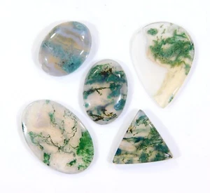 5 piezas 100 % natural musgo verde ágata cabujón piedras preciosas translúcidas 60 quilates DI = 22 - Imagen 1 de 7
