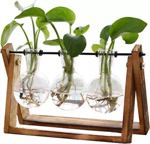Plant Terrarium with Wooden Stand, Air Planter Bulb Glass Vase Metal Swivel Hold - Picture 1 of 6
