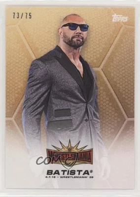2019 Topps WWE Transcendent Collection /75 Batista #10 - Image 1 of 2