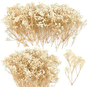 70Pcs Mini Dried Baby's Breath Flowers 4000+Natural Bulk Flowers Real Flowers... - Picture 1 of 7