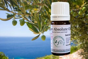 Olivenblatt Absolute Öl (Herkunft: Frankreich) - Bild 1 von 5