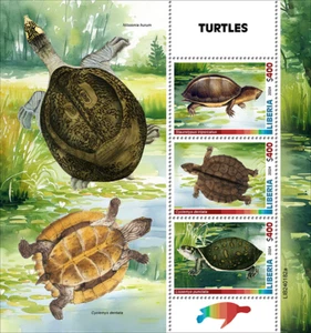 LIBERIA  2024 TURTLES SHEET & TWO SOUVENIR SHEETS  MINT NH - Picture 1 of 3