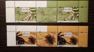 Endangered spieces of spiders in Poland   - 2013, stamp with ornamental tablet. - Picture 1 of 2