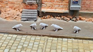 5x Kolkrabe Rabe 1/87 H0 Vogel Tier für Stadt Diorama Dekoration HO - unbemalt - Picture 1 of 7