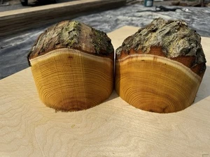Natural Edge Osage Orange Turning Wood Bowl Blank Lathe 7”x5” - Picture 1 of 4