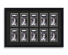 SGC Graded Card Frame Display Holds (10) Slabs Baseball, UV Protection (optional