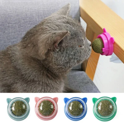 Pet Supplies Catnip Balls Cat Toys Supplies Catnip Ball Toys Grinding Teeth ! - Image 1 of 4