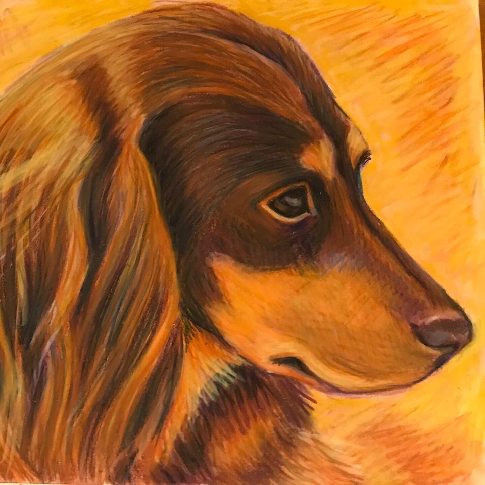 Dachshund. Quebra-cabeça Wiener Dog 1000 peças 20" x 28." NOVO e lacrado - Imagem 1 de 1