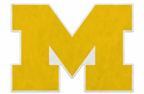 Michigan Wolverines Primary Logo Pennant Soft Felt Cover