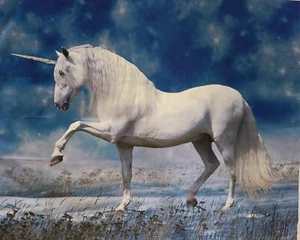 Digitally Printed White Unicorn Beach Fabric Panel 35"L X 44"W By Four Seasons - Picture 1 of 5