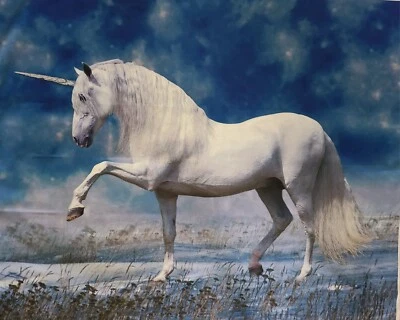 Digitally Printed White Unicorn Beach Fabric Panel 35"L X 44"W By Four Seasons - Image 1 of 4