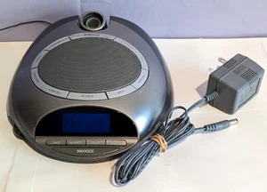 HoMEDICS SoundSpa SS-4500 AM/FM Clock Radio 6 Nature Sounds Time Projection GUC - Picture 1 of 11