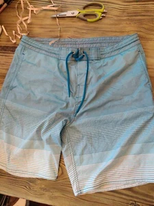 Roundtree & Yorke stretch Board Shorts Men's Swimsuit 36 performance 19" Blue - Picture 1 of 5