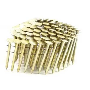 CLAVOS DE TECHO DE BOBINA DE GALV SUAVE DE 2" 3.600 quilates | CRN200 - Imagen 1 de 1