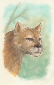 1998 Pastello Lince Profilo Gatto Wildcat Schizzo 11x7 pollici Firmato JT - Foto 1 di 1