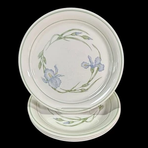 Corelle Cornerstone IRIS Essteller 10 1/4" blaue Iris ein Abplatzer 4er Set - Bild 1 von 12
