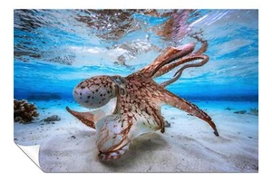 Dancing Octopus Underwater Artistic Poster Wall Art Home Decor - Picture 1 of 4
