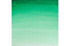 Winsor And Newton Cotman Watercolour 21Ml 329 Intense Green (321) (Tube)