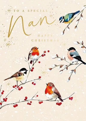 PAPERLINK Special Nan Happy Christmas Card Garden Birds With Lots Of Love FREE P&P