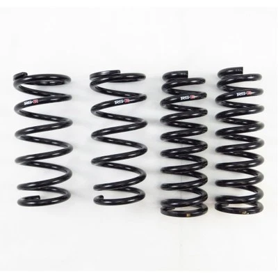RS-R T176D -Down Sus Lowering Springs for 13-20 Lexus GS350 AWD Made in Japan - Image 1 of 3