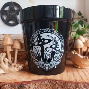 Alchemy Magic Garden Plant Pot Magic Mushroom Plant Pot - Picture 1 of 3