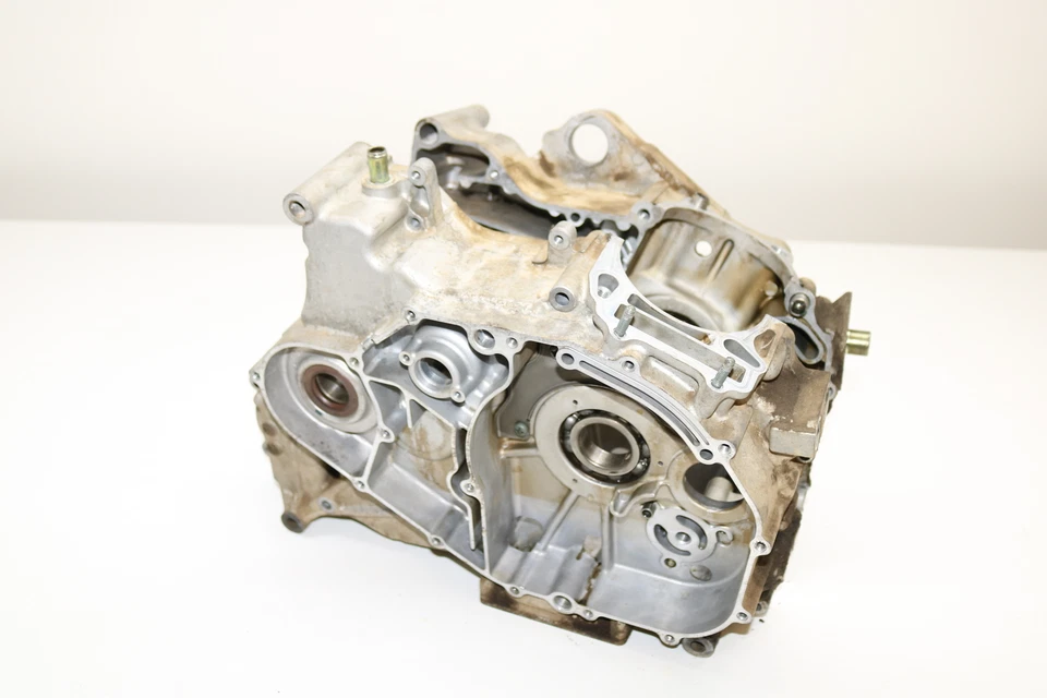 Arctic Cat 400 2004 automático Fis motor 4x4 cárter cárter cárter estuche Foto 1 de 4