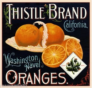 Cardo de Riverside #1 naranja cítricos caja de frutas estampado artístico - Imagen 1 de 1