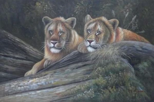 Par de leones africanos en reposo 24x36 pintura al óleo naturalismo animal - Imagen 1 de 1