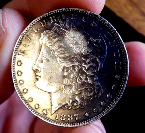 MORGAN SILVER DOLLAR 1887 FROSTY BU++ BONITO TONO MEDIA LUNA - Imagen 1 de 4
