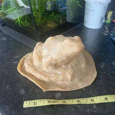 Clearance Rubber Latex Mould Of A Large Frog On A Stone - Image 1 of 4