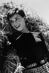 Hepburn Audrey Philanthropist Model Actor Print Wall Art Home - POSTER 20x30 - Picture 1 of 3