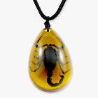 REALBUG Black Scorpion Necklace, Amber, Large