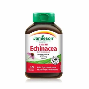 Jamieson Echinacea High Potency 120 Caplets - Picture 1 of 3
