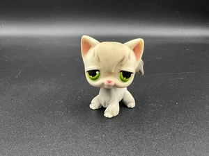 Littlest Pet Shop LPS Hasbro Angora Gato Gris y Blanco con Ojos Verdes Forma Decente - Imagen 1 de 4