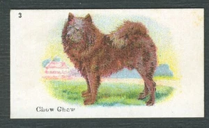 CHOW CHOW B.A.T. BEST DOGS OF THEIR BREED 1913 DOG CIGARETTE CARD #3 - Picture 1 of 2