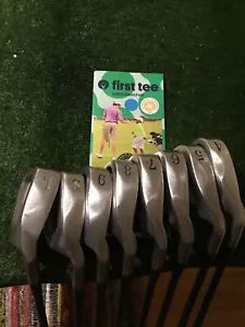 Trident TF Titanium Irons Set 4-LW (No PW) Club Masters Graphite Shafts - Picture 1 of 10