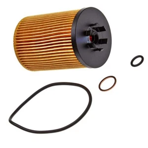 Filtro de aceite compatible con BMW E60 61 545i E63 64 645Ci E65 735i 745i X5 E53 4.4 4.8iS - Imagen 1 de 6