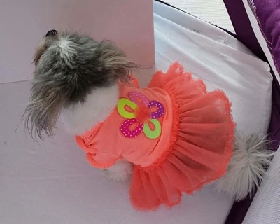 Dog New Dress With Tutu Orange Size Medium Fits Dogs 11 To 15 Lbs - Image 1 of 4