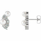 Akoya Cultured Pearls & 1/2 CTW Diamond Earrings In Platinum 