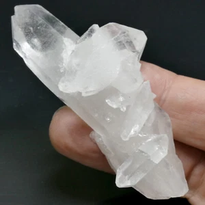 Lemuria Quarz Kristall Gruppe Mehrfachbeendigung 75mm Tibet Himalaya BK2207 - Bild 1 von 12