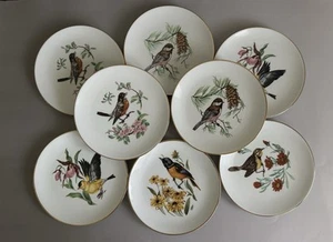 8er Set Vintage Schumann Arzberg Bavaria Germany Vogel Teller Goldrand 7 1/2 - Bild 1 von 12