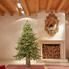 EDG - Weihnachtsbaum Pino Luxury H180cm D136cm Realistic 3000 LED