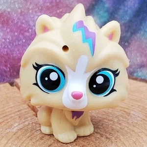 Pommy LeClerc #4016  Authentic LPS Littlest Pet Shop Hasbro Pomeranian Blue Eyes - Bild 1 von 5