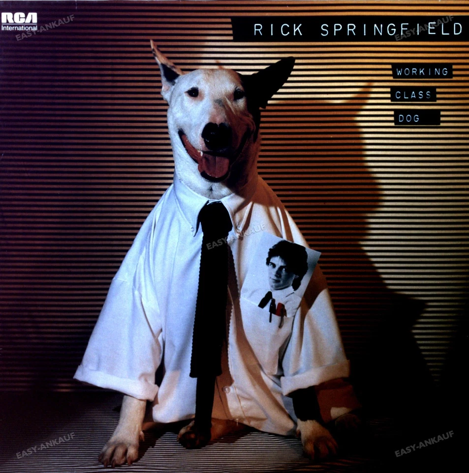 Rick Springfield - Working Class Dog LP (VG) . - Photo 1/1
