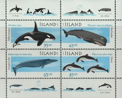 Сувенирный лист Исландия 1999 No876a морские млекопитающие - как новый без наклеек и следов - Изображение 1 из 4